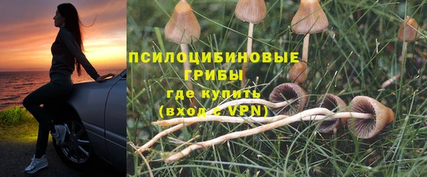 PSILOCYBIN Абдулино