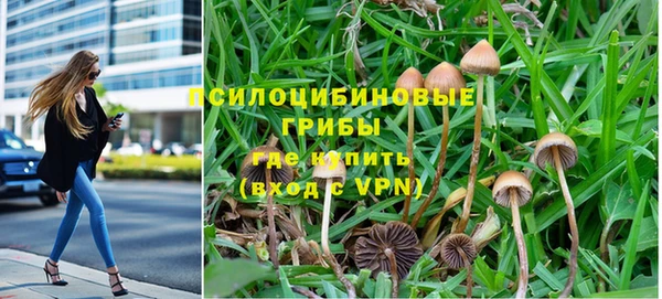 PSILOCYBIN Абдулино