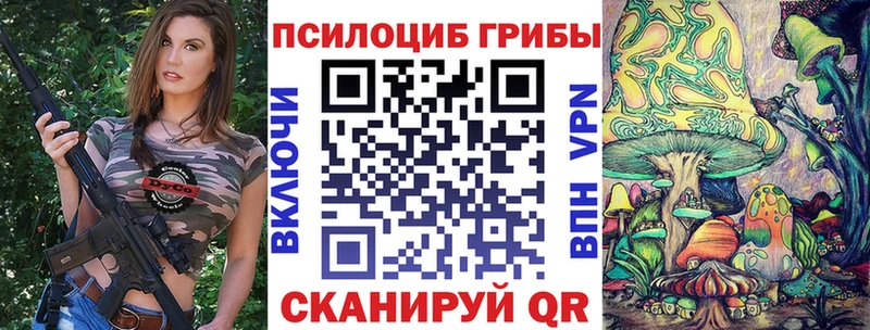 Галлюциногенные грибы Psilocybe  shop Telegram  Сокол 