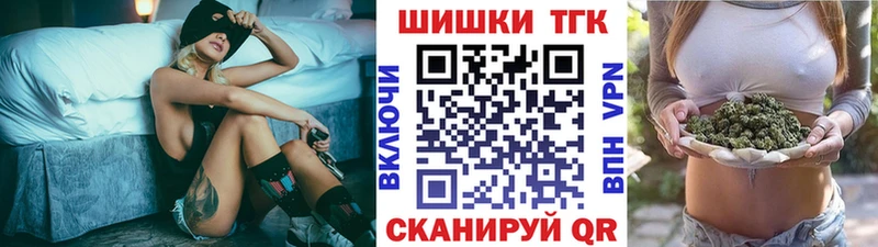 Конопля семена  где купить   Сокол 